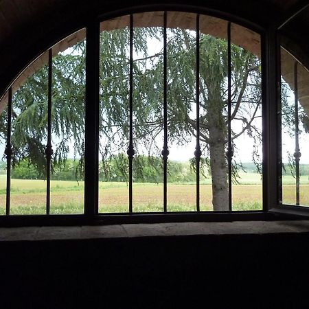 Agriturismo La Segolina 콜레 발델사 외부 사진