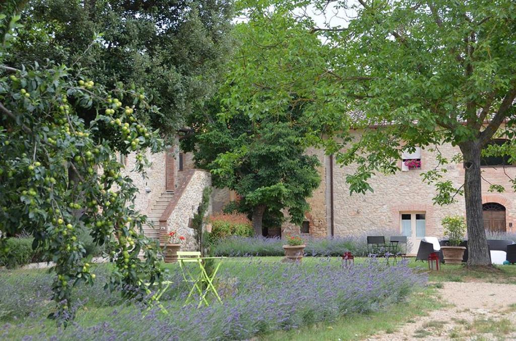 Agriturismo La Segolina 콜레 발델사 외부 사진
