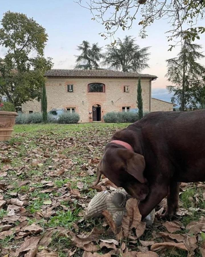 Agriturismo La Segolina 콜레 발델사 외부 사진
