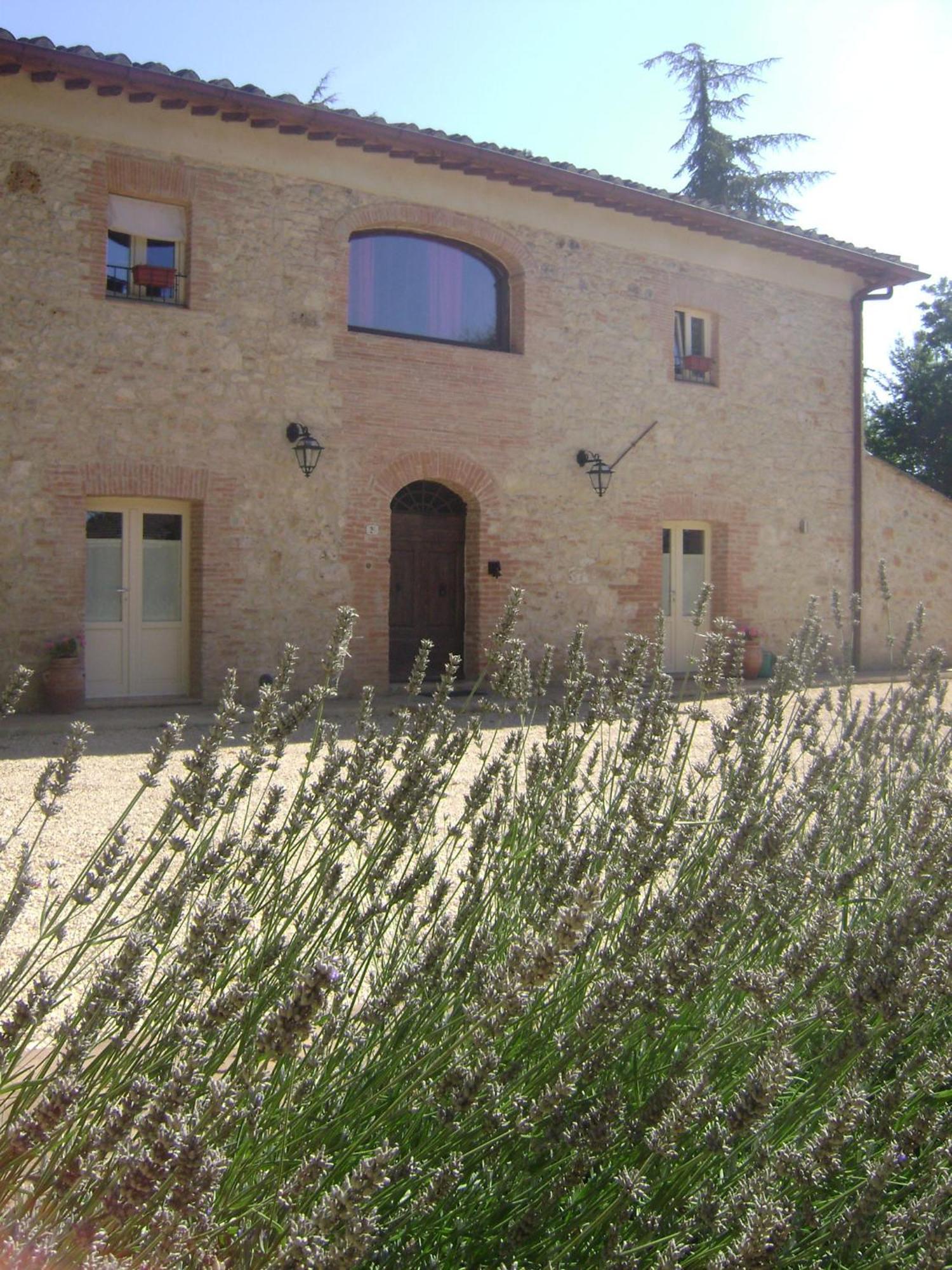 Agriturismo La Segolina 콜레 발델사 외부 사진