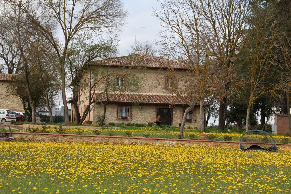 Agriturismo La Segolina 콜레 발델사 외부 사진