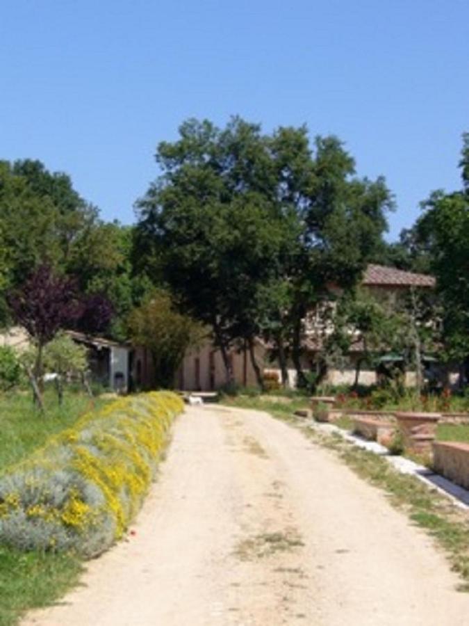Agriturismo La Segolina 콜레 발델사 외부 사진